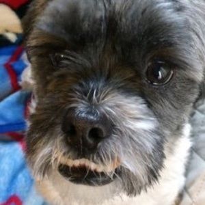 Meet your Posher, Alex